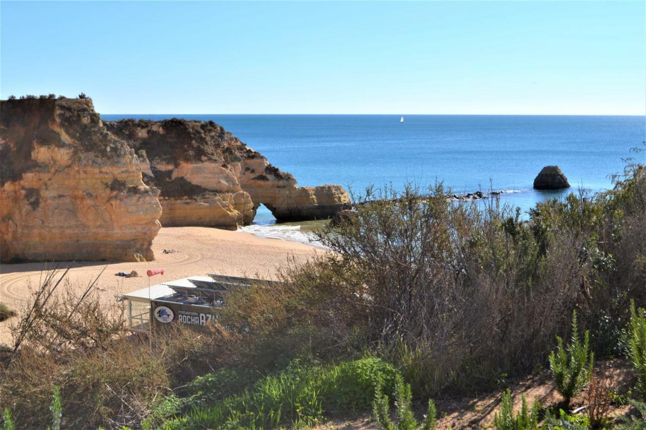 Water Green House - Praia Da Rocha ポルティマン エクステリア 写真